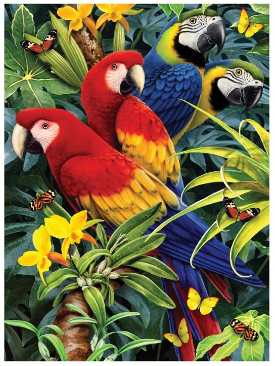 Junior Painting by Numbers: Majestic Macaws